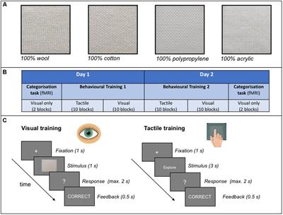 Tactile-to-Visual Cross-Modal Transfer of Texture <mark class="highlighted">Categorisation</mark> Following Training: An fMRI Study